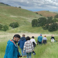 The Impact of Sports Events in Contra Costa County, California